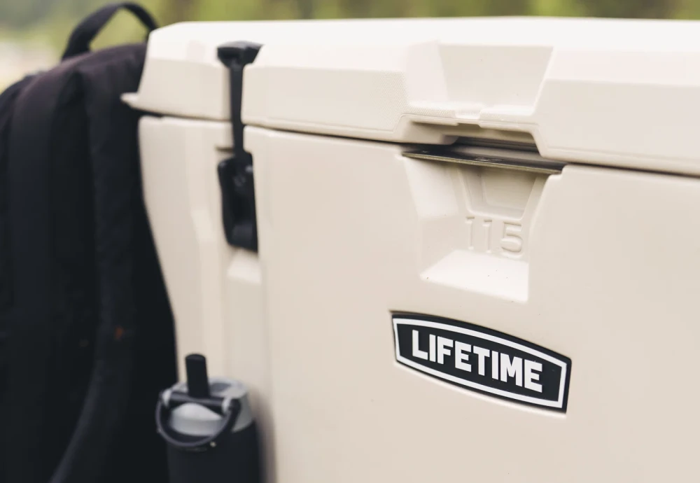 car ice chest cooler