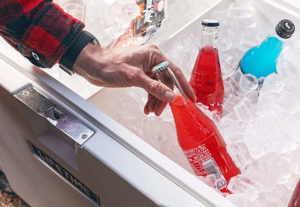 car ice chest cooler